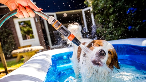 Juist de warme dagen worden steeds heter: 'Veel sterkere toename dan gemiddeld'