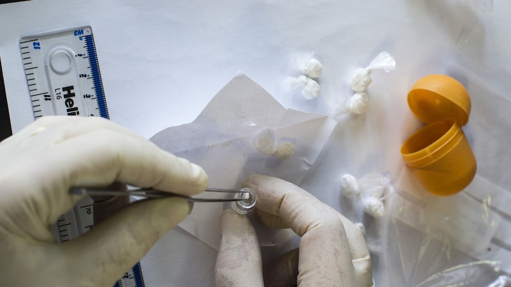 Nederlander (49) veroordeeld tot 20 jaar cel in grootste Ierse cocaïnezaak ooit