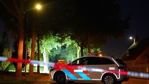 Bij uitlaten van haar hondje werd vrouw (79) in Schijndel doodgereden