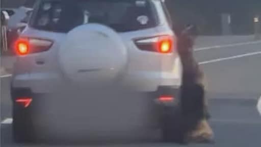 Huis in brand gestoken van Belgische man die hond gruwelijk mishandelde