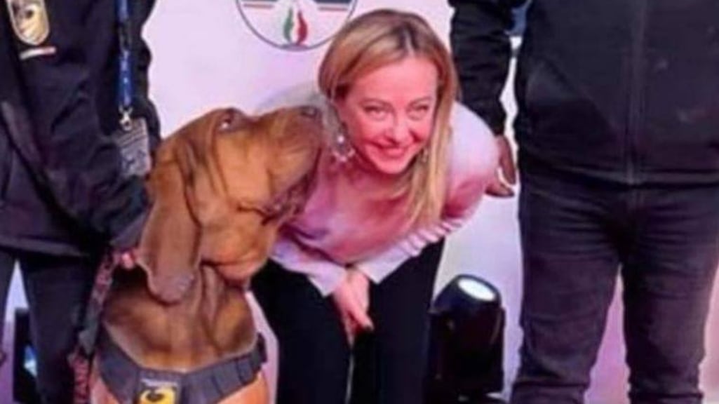 Hond Bruno en premier Giorgia Meloni.