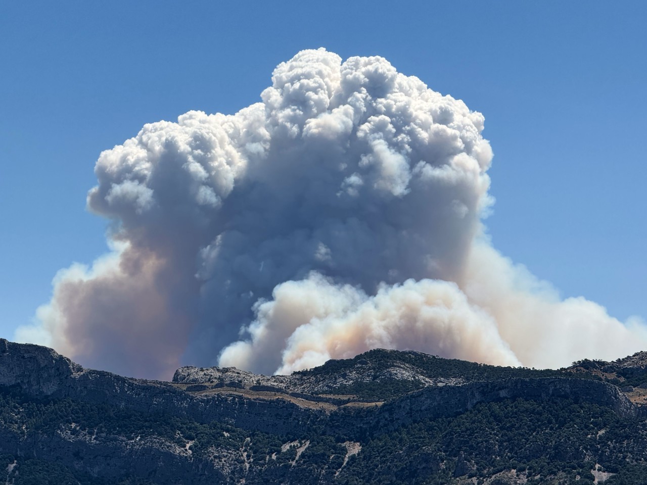 Nederlandse brandweerlieden naar Spanje voor bestrijding bosbranden