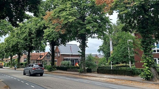 Bomen in Wekerom doelbewust vernield: gaten geboord en gif ingespoten