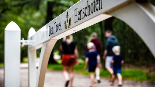 Provincie Utrecht is eruit: bijtende wolf Bram moet dood