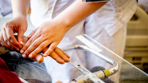 Criminele organisatie achter valse zorgcertificaten opgerold na maandenlang onderzoek