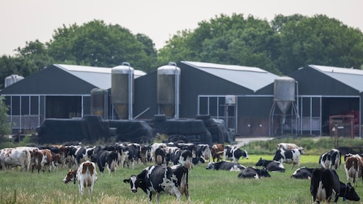 Boeren en bestuurders komen met gezamenlijk stikstofplan