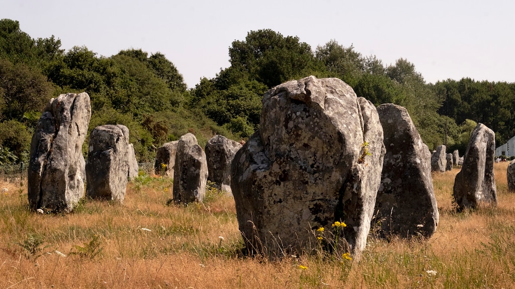 De menhirs in Carnac.