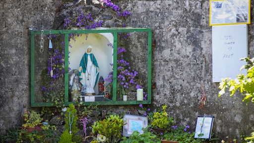 Zoektocht naar stoffelijke resten van kinderen begonnen bij Iers tehuis