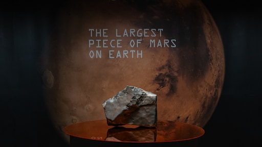Grootste steen van Mars ooit gevonden nu te koop: 2 tot 4 miljoen dollar waard