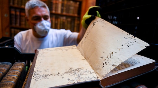 Gaten in tienduizenden boeken oudste bibliotheek Hongarije: kevers eten papier op