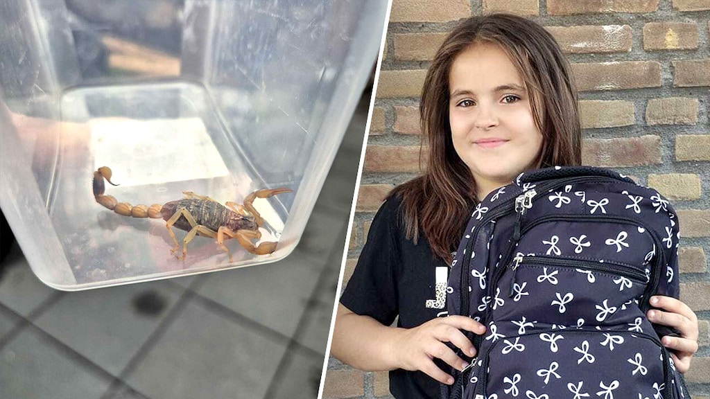 Schooltas van Shein komt aan met zwangere schorpioen