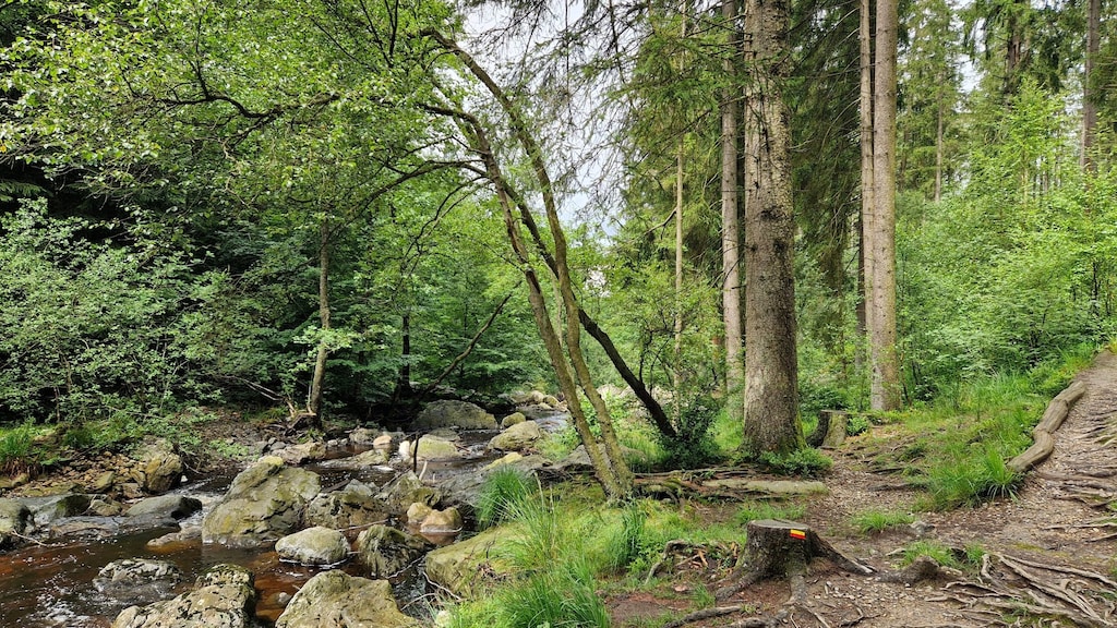 Zoek je een groene omgeving, dan zit je in de Ardennen goed.