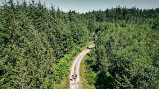 De Ardennen zijn lang niet zo oubollig als het imago doet geloven én lekker dichtbij