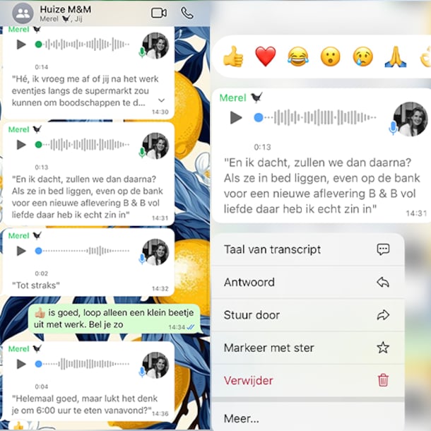 Transcripten van spraakberichten in Whatsapp.