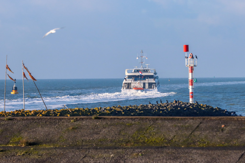 Schippers fatale aanvaring Waddenzee krijgen taakstraf: te hard gevaren
