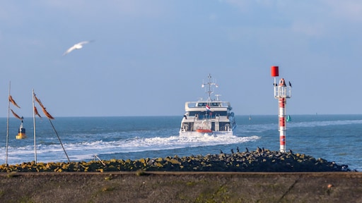 Schippers fatale aanvaring Waddenzee krijgen taakstraf: te hard gevaren, slechte communicatie