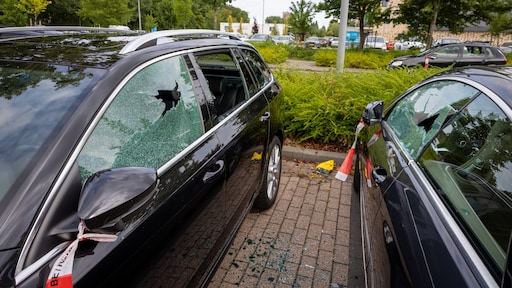 Tientallen autoruiten ingeslagen in woonwijk Vlaardingen