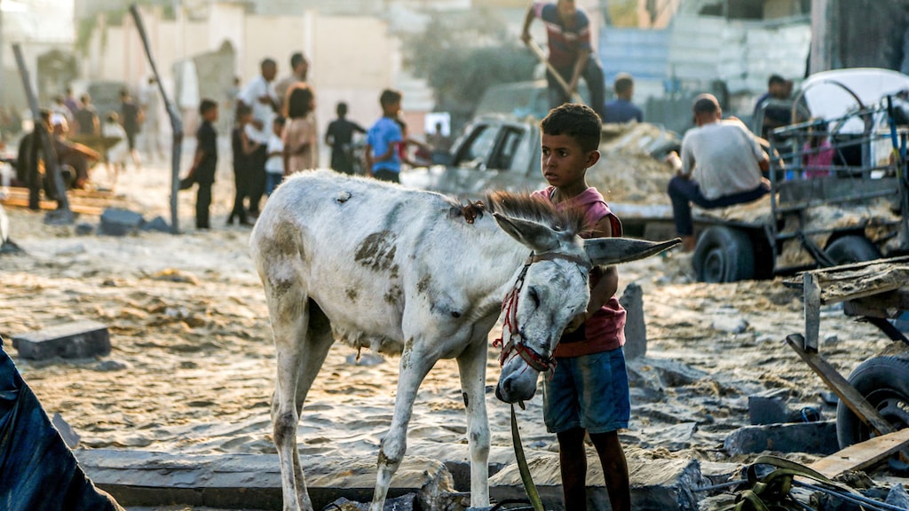 Oorlog in Gaza is genocide, zeggen Israëlische mensenrechtenorganisaties