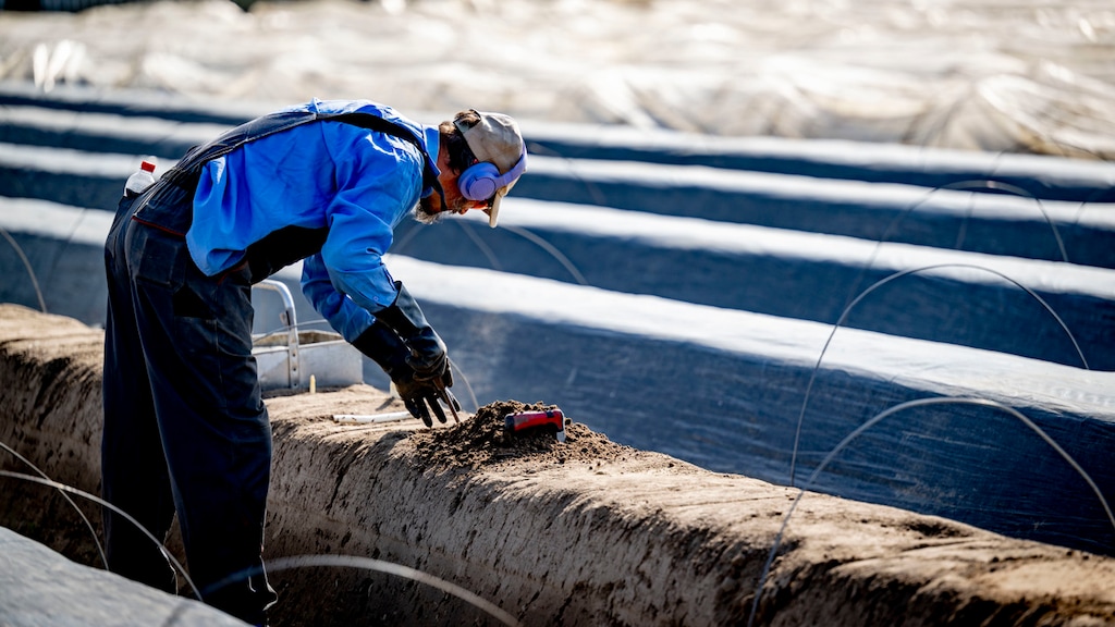 Onderzoek naar geweld tussen arbeidsmigranten maanden vertraagd door gekibbel ministeries