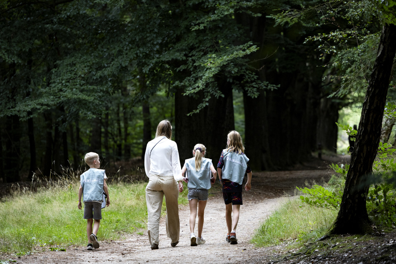 Gemeenten in Utrecht: blijf uit bos- en natuurgebied om wolf Bram