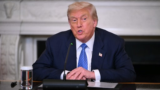 Trump staat open voor top Poetin én Zelensky, maar vooralsnog blijft het bij Russische leider