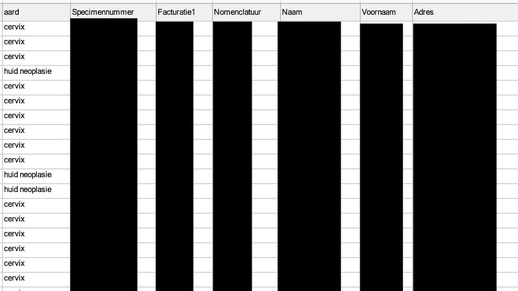 Een voorbeeld van de gelekte data.