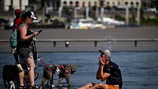 Met 41,6 graden hitterecord in Bordeaux, in de buurt woeden heftige natuurbranden