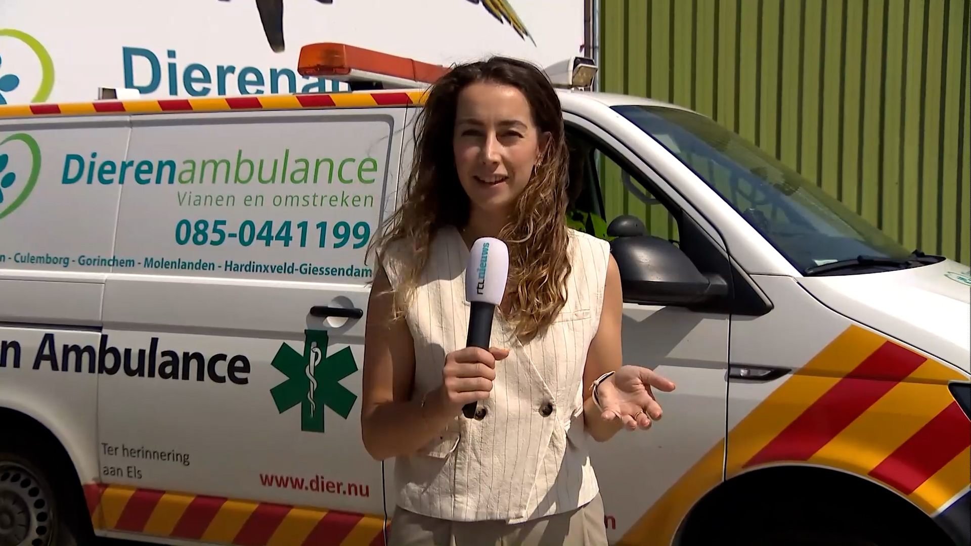 Verbrande pootjes, hittestress: dierenambulance druk door warmte