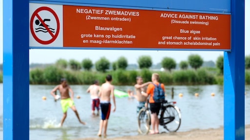 Flinke verslechtering zwemwater: experts bezorgd over verdubbeling ondermaatse locaties