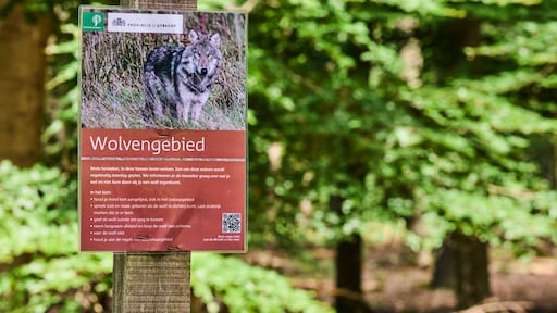 Protestmars tegen afschieten Bram, meer mensen willen juist van probleemwolf af