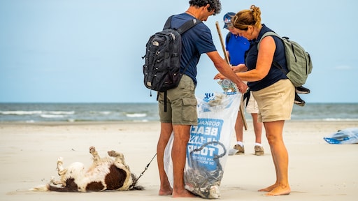 Al 'tienduizenden sigarettenpeuken' opgeruimd bij strandschoonmaakactie