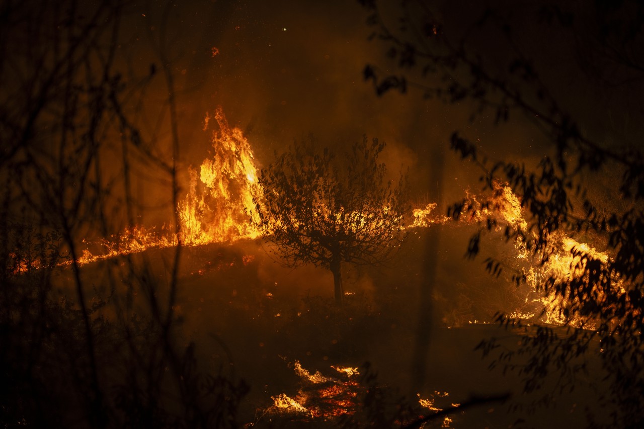 Hoog overleg in Spanje over bosbranden, 40.000 hectare afgebrand