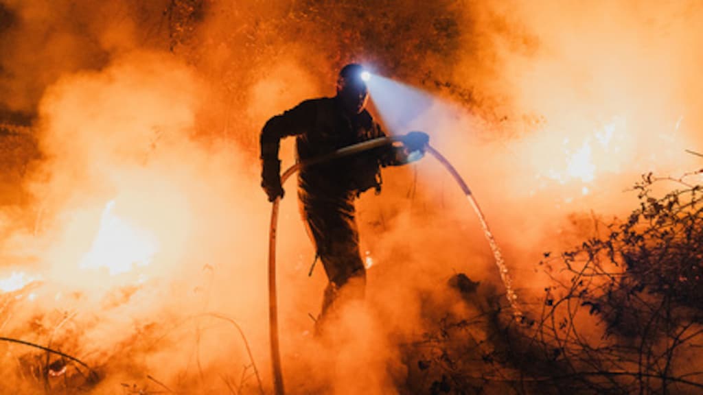 Bosbranden Spanje zijn de ergste van deze eeuw: recordoppervlakte verwoest