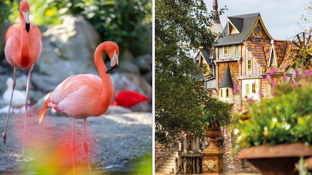 5 originele en betaalbare zomeruitjes in Utrecht en Flevoland