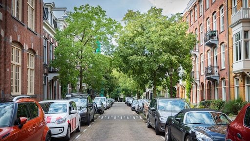 Plakkerige auto: onder deze bomen kun je beter niet parkeren