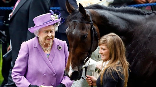 Gokken op Britse paardenraces wordt duurder, paardenwereld is boos