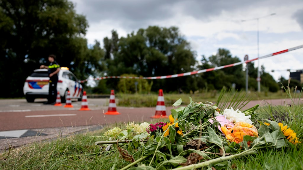 Ouders omgebrachte Lisa (17): 'Onze harten zijn gebroken'