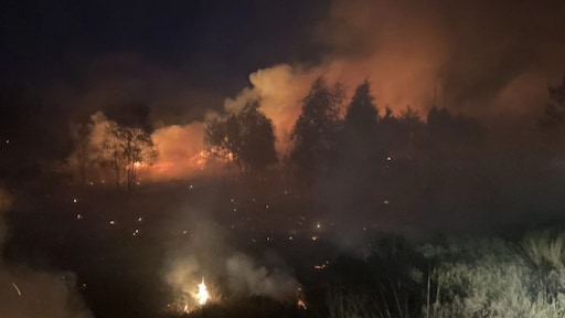 Brand op Brunssummerheide bij Heerlen onder controle