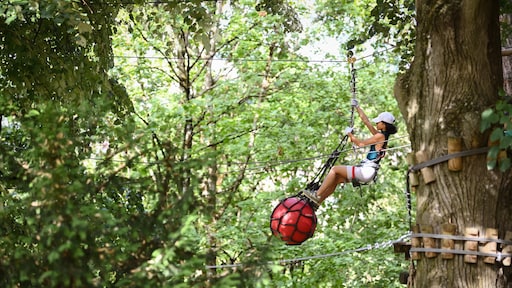 Israëlische kinderen geweigerd bij Frans recreatiepark, beheerder aangehouden