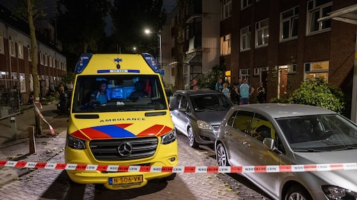 Man in Rotterdam overleden na aanval door twee honden