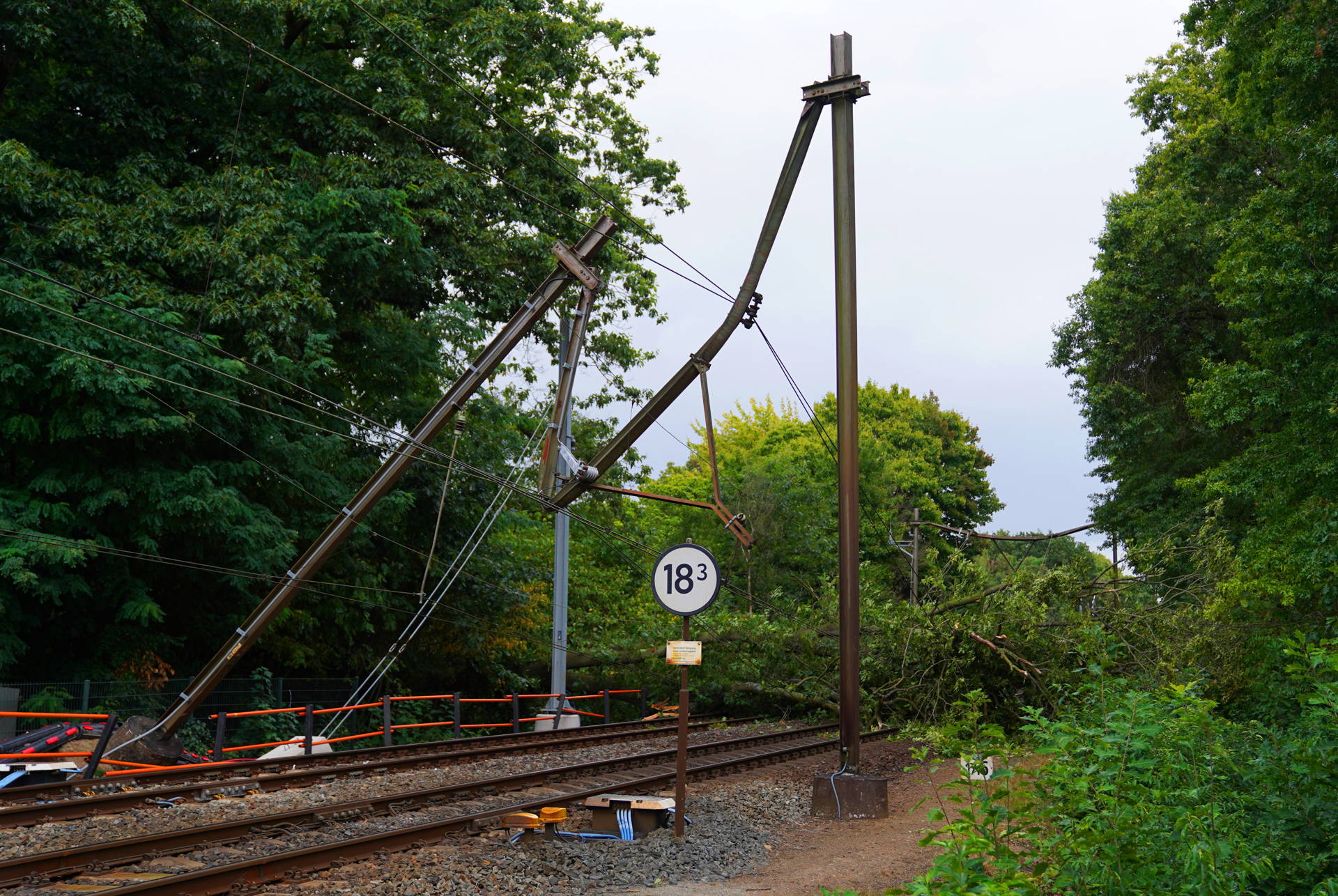 Boom valt op spoor: tot vrijdag geen treinen tussen Tilburg en Den Bosch