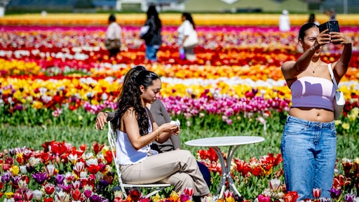 Toerisme floreert in ons land, 'maar btw-verhoging kan roet in eten gaan gooien'