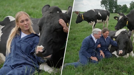 Marijn Kuipers trekt schoonfamilie in De Roelvinkjes uit comfortzone in Friesland: 'Dries durft helemaal niks'