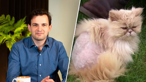 Rob Goossens snapt de kat van 'onnavolgbare hork' Rob uit B&B Vol Liefde: 'Uit pure wanhoop in de klitplant gestort'