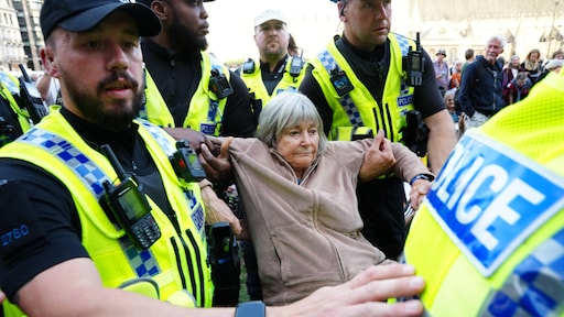 Nederlanders opgepakt bij protest Palestine Action in Londen