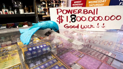 Historische Powerball-trekking: twee winnaars delen op één na grootste jackpot ooit