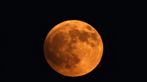 Heb jij hem gezien? Spectaculaire bloedmaan boven Nederland