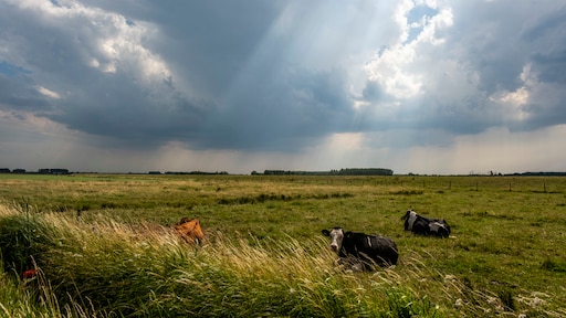 Limburg krijgt te maken met wateroverlast, code geel van kracht terwijl westen droog blijft