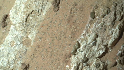 NASA: sterkste aanwijzingen tot nu toe voor mogelijk leven op Mars