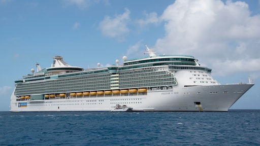 Man springt van boord op cruiseschip, had bijna 17.000 dollar gokschuld